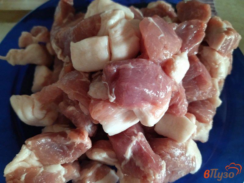 Фото приготовление рецепта: Домашние котлеты из свинины и филе курицы шаг №1