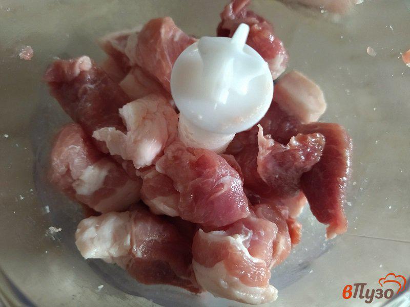 Фото приготовление рецепта: Домашние котлеты из свинины и филе курицы шаг №2