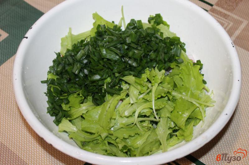 Фото приготовление рецепта: Зеленый салат с редисом и капустой шаг №4
