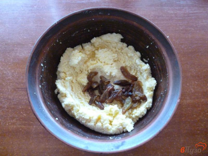 Фото приготовление рецепта: Сырники с изюмом в духовке шаг №3