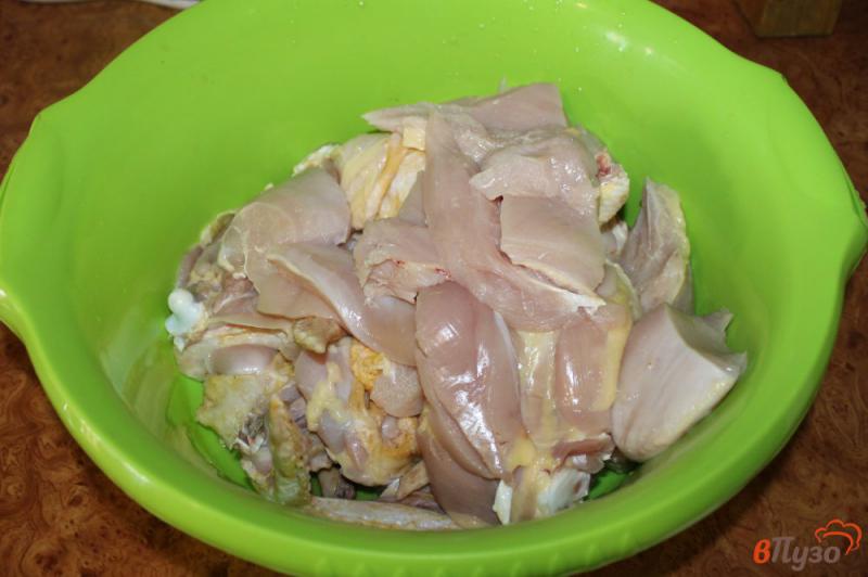 Фото приготовление рецепта: Шашлык из курицы в майонезе шаг №1