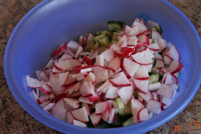 Фото приготовление рецепта: Салат из помидоров зелени и редиса шаг №3