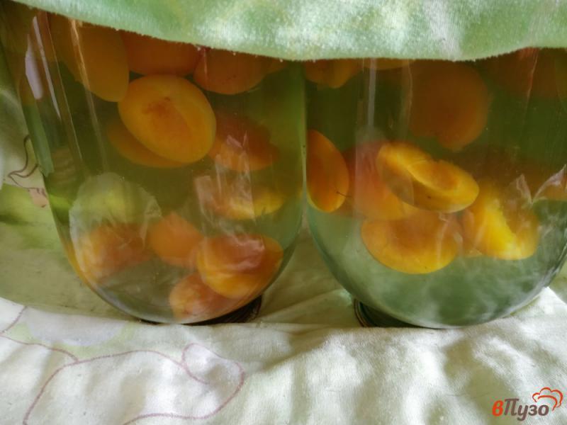 Фото приготовление рецепта: Абрикосовый компот с апельсином и лимоном шаг №8