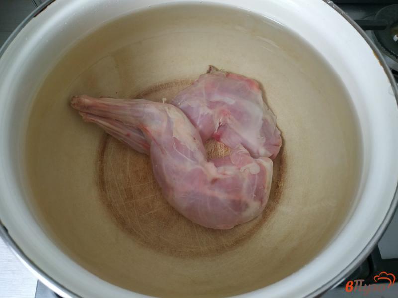 Фото приготовление рецепта: Борщ с крольчатиной шаг №1