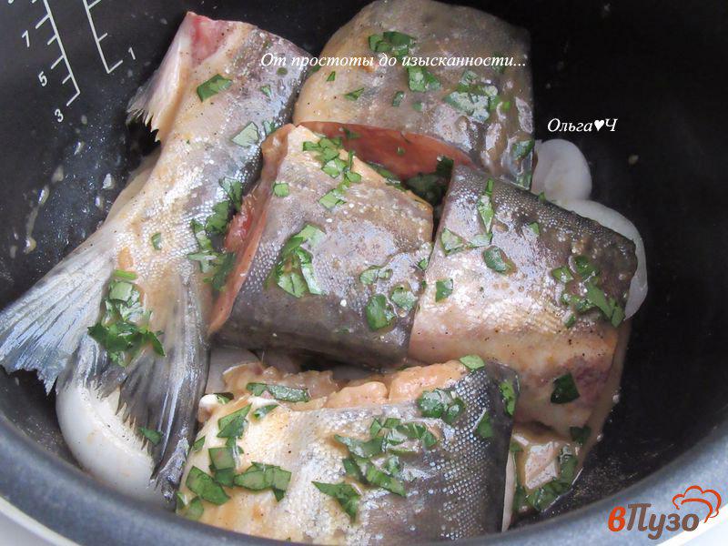Фото приготовление рецепта: Горбуша в соевом соусе на луковой подушке шаг №5