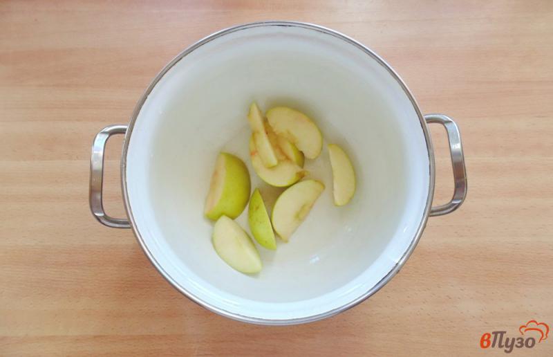 Фото приготовление рецепта: Компот из яблок, абрикос и вишни шаг №1