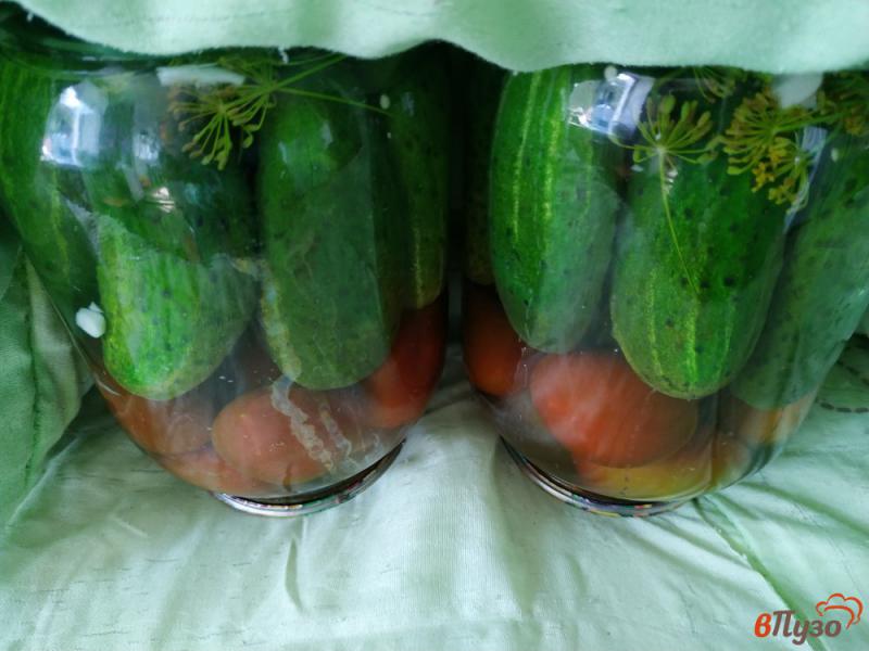Фото приготовление рецепта: Консервированные огурцы с помидорами шаг №11