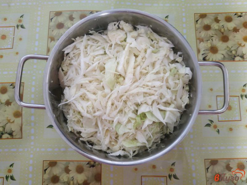 Фото приготовление рецепта: Тушёный картофель с овощами и грибами шаг №2