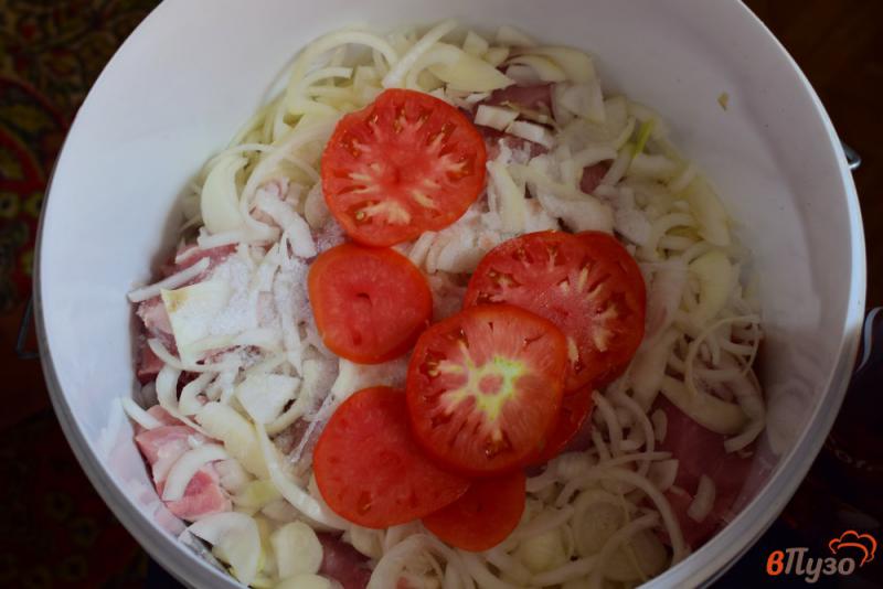 Фото приготовление рецепта: Шашлык с луком помидорами и уксусом шаг №3
