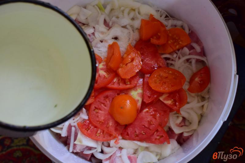Фото приготовление рецепта: Шашлык с луком помидорами и уксусом шаг №4