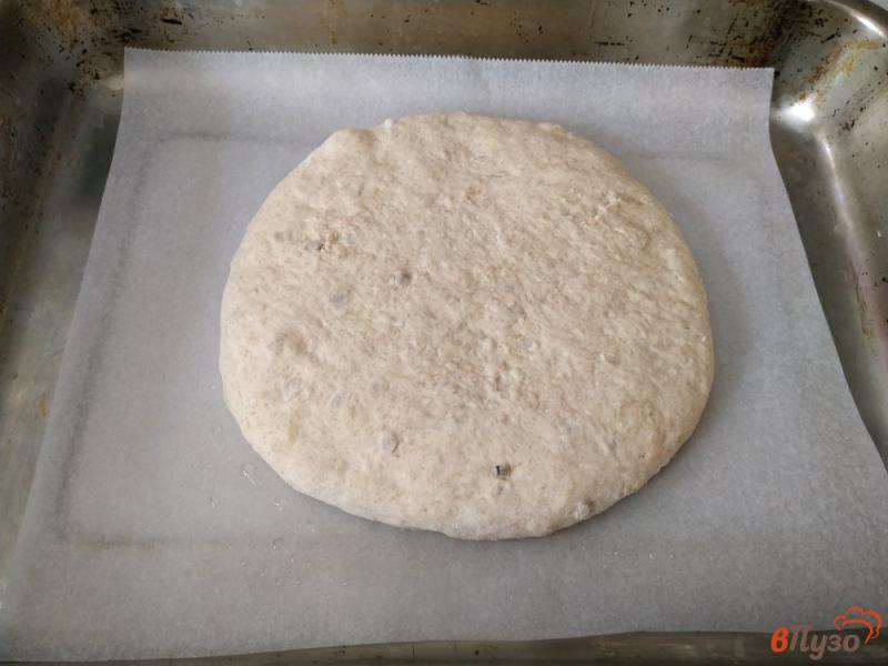 Фото приготовление рецепта: Ржаной хлеб с семечками и кунжутом шаг №7