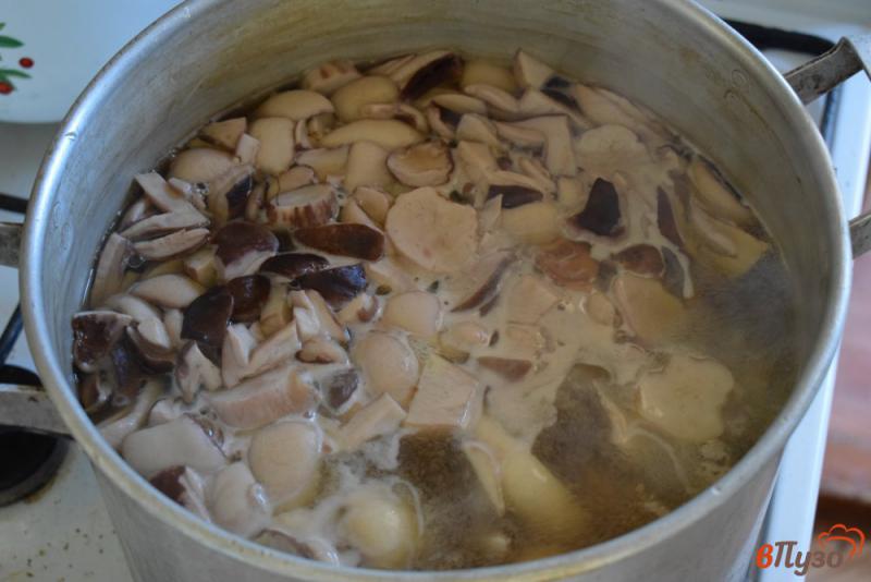 Фото приготовление рецепта: Заморозка грибов на зиму шаг №4
