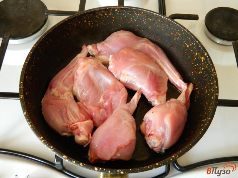 Фото приготовление рецепта: Кролик с шампиньонами в сметане шаг №2