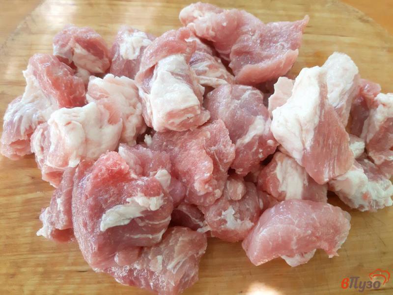 Фото приготовление рецепта: Шашлык из свинины в луковом маринаде с минералкой шаг №1