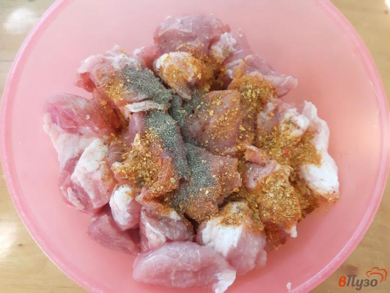 Фото приготовление рецепта: Шашлык из свинины в луковом маринаде с минералкой шаг №2