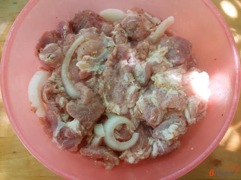 Фото приготовление рецепта: Шашлык из свинины в луковом маринаде с минералкой шаг №5