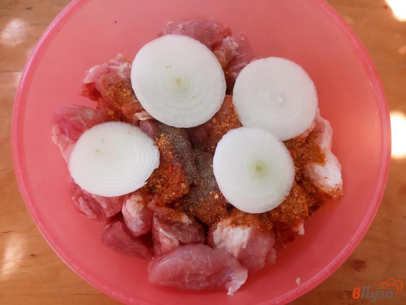 Фото приготовление рецепта: Шашлык из свинины в луковом маринаде с минералкой шаг №3