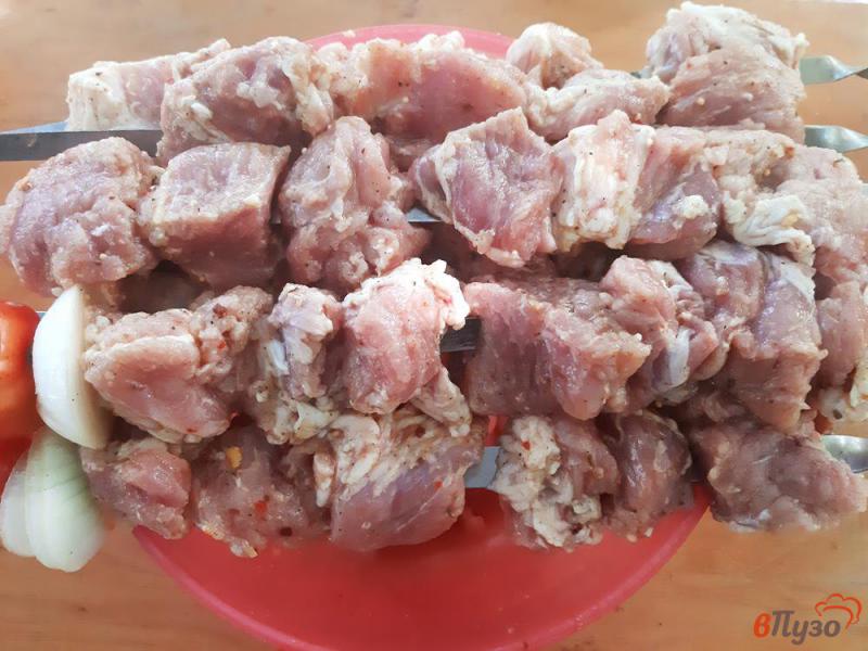 Фото приготовление рецепта: Шашлык из свинины в луковом маринаде с минералкой шаг №6
