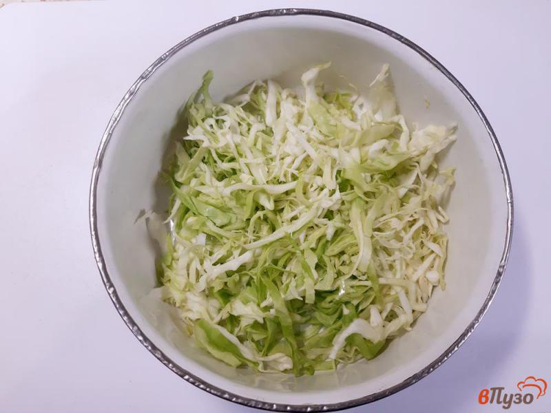 Фото приготовление рецепта: Салат овощной с капустой шаг №1