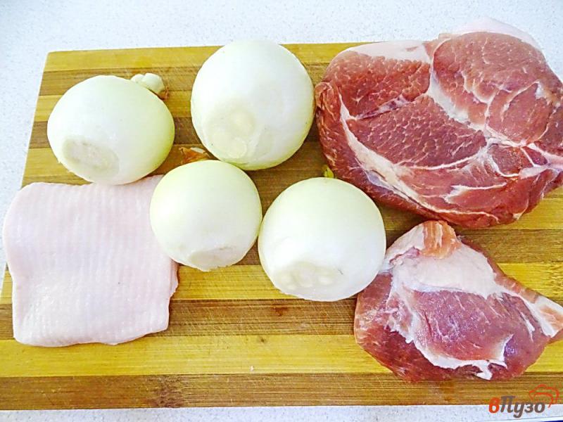 Фото приготовление рецепта: Свинина тушёная с луком шаг №2