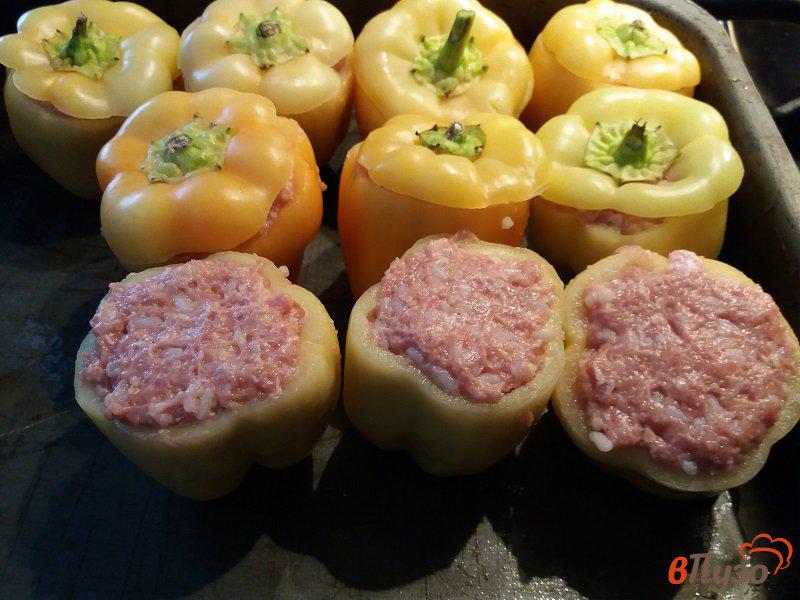 Фото приготовление рецепта: Фаршированный болгарский перец мясом и рисом в томатном соусе шаг №6
