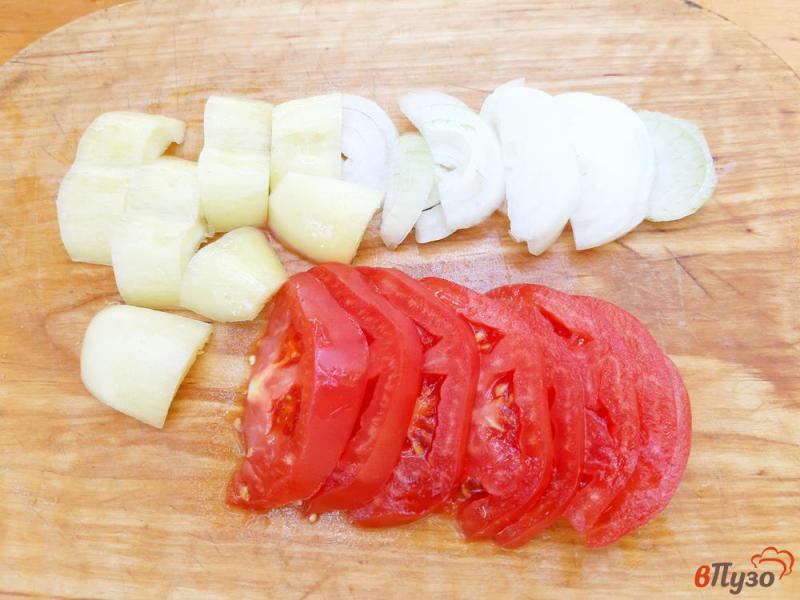 Фото приготовление рецепта: Веер из баклажана с моцареллой и помидорами шаг №2