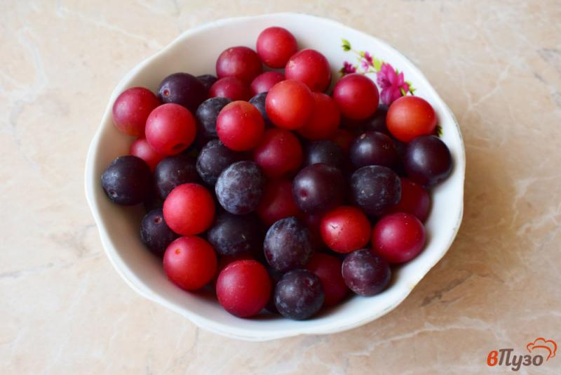 Фото приготовление рецепта: Сливовый компот с ягодами шаг №1