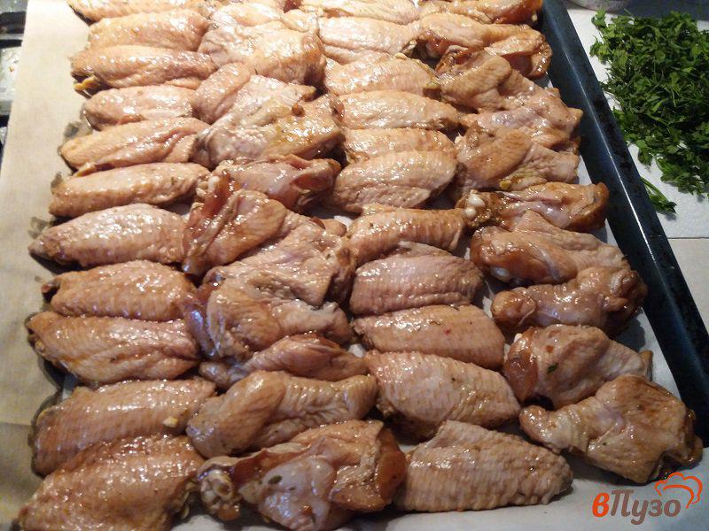Фото приготовление рецепта: Курные крылышки барбекю в духовом шкафу шаг №5