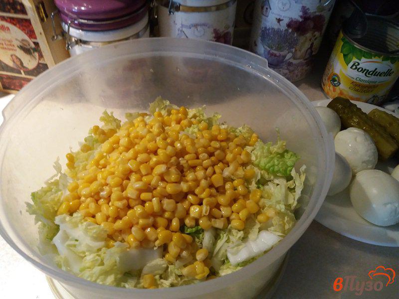 Фото приготовление рецепта: Салат из крабовых палочек с пекинской капустой шаг №3