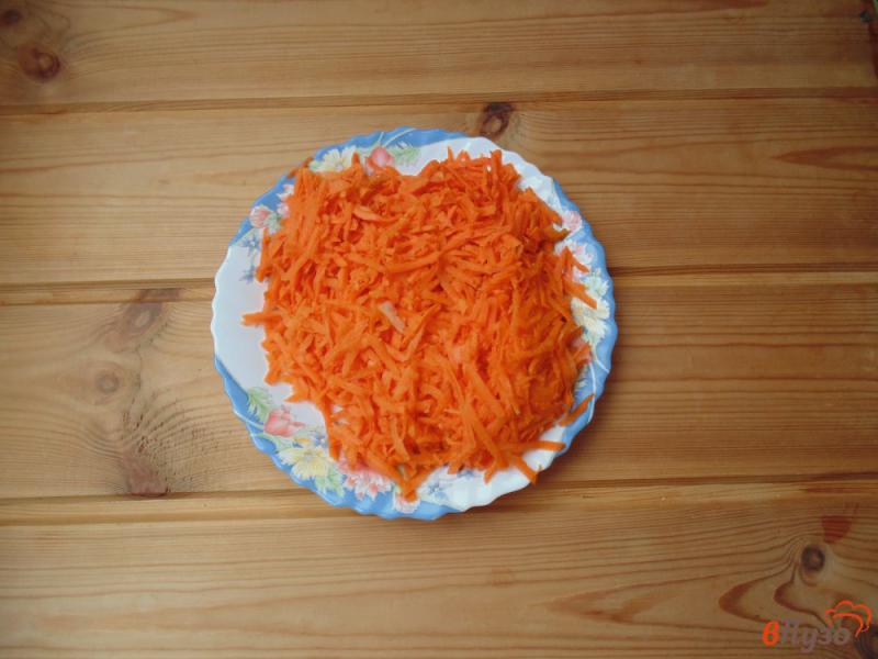 Фото приготовление рецепта: Лечо с луком и морковью на зиму шаг №3