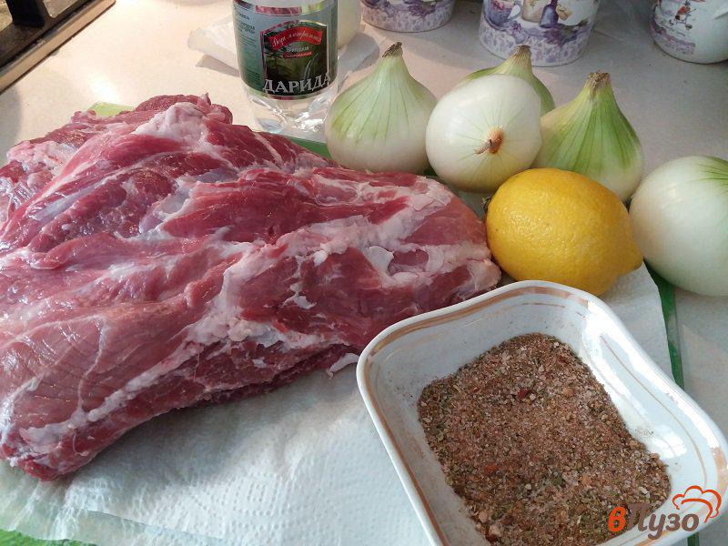 Фото приготовление рецепта: Шашлык из свиной шеи шаг №1