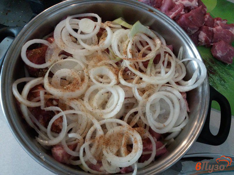 Фото приготовление рецепта: Шашлык из свиной шеи шаг №6
