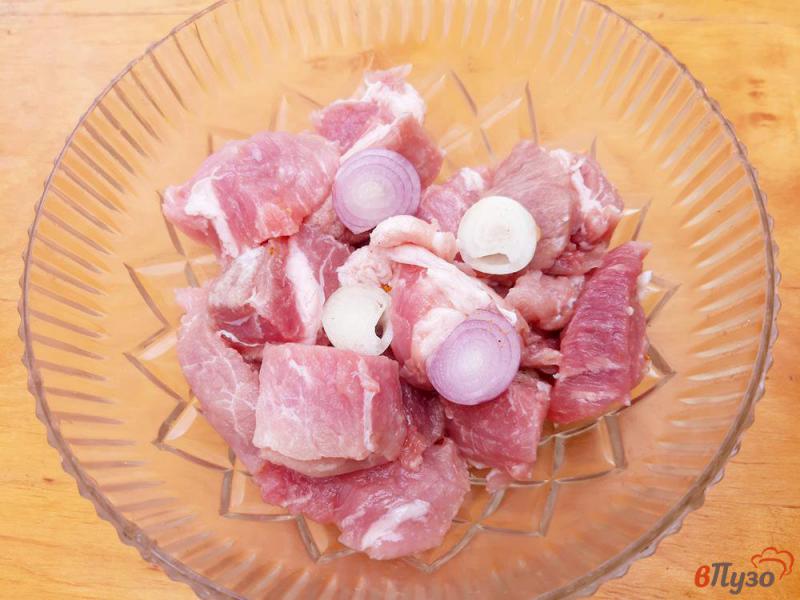 Фото приготовление рецепта: Шашлык из свинины в горчичном маринаде шаг №3