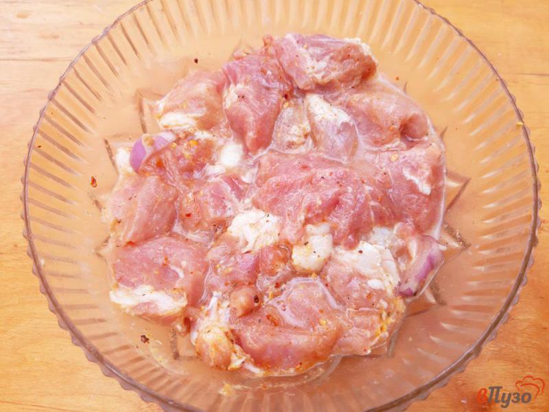 Фото приготовление рецепта: Шашлык из свинины в горчичном маринаде шаг №6