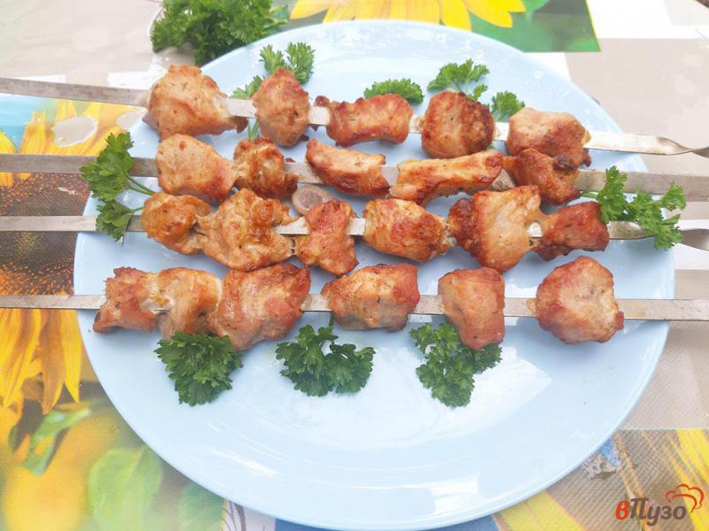 Фото приготовление рецепта: Шашлык из свинины в горчичном маринаде шаг №9
