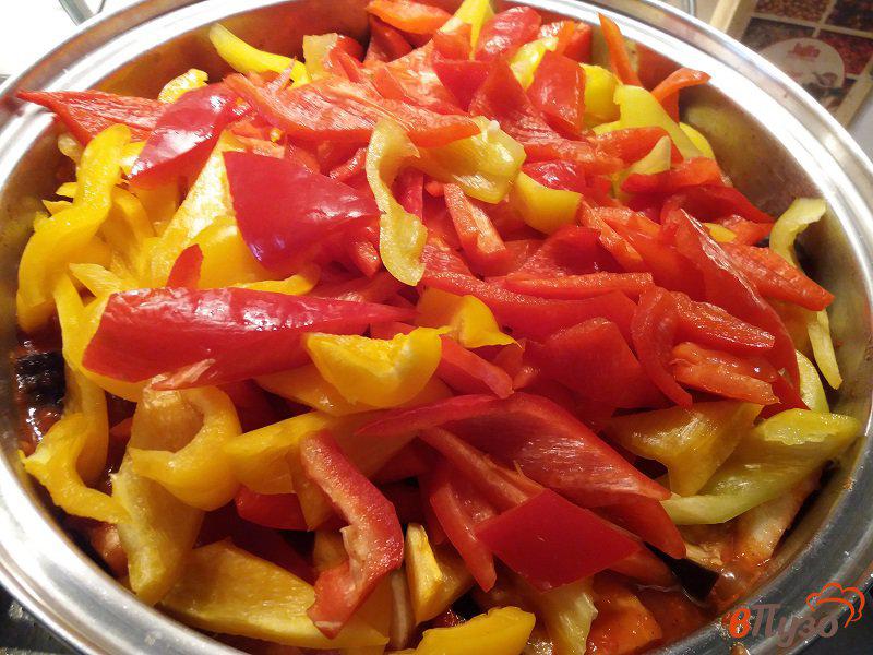 Фото приготовление рецепта: Баклажаны и болгарские перцы в томатном соусе на зиму шаг №8