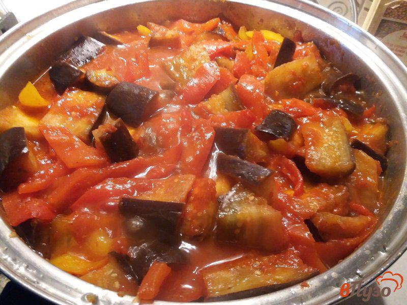Фото приготовление рецепта: Баклажаны и болгарские перцы в томатном соусе на зиму шаг №9