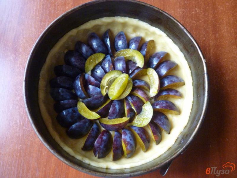Фото приготовление рецепта: Пирог со сливами и сметанной заливкой шаг №7