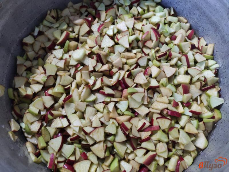 Фото приготовление рецепта: Варенье из яблок шаг №3