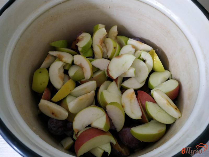 Фото приготовление рецепта: Сливово-яблочный компот шаг №2