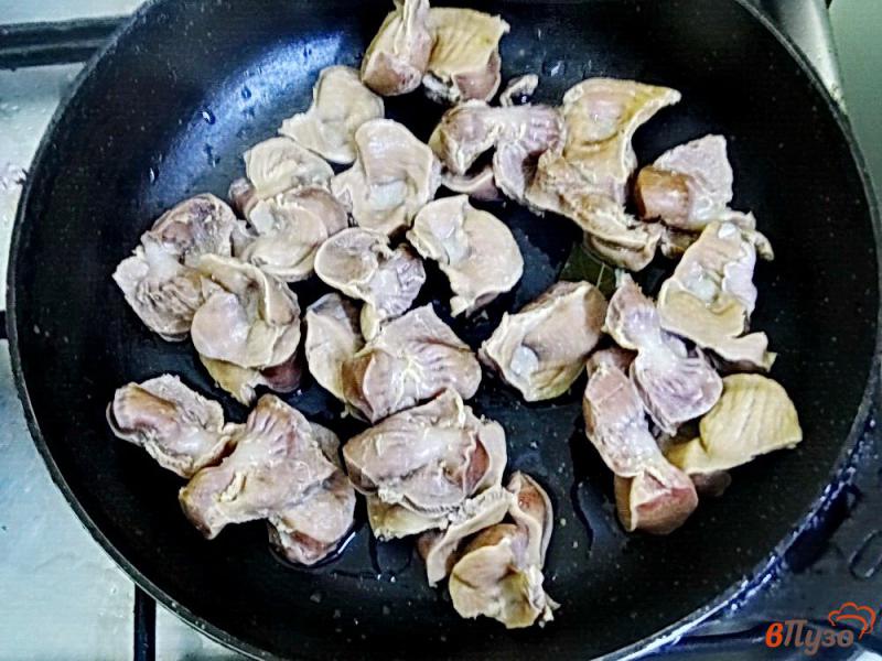 Фото приготовление рецепта: Куриные желудки со сметаной шаг №3