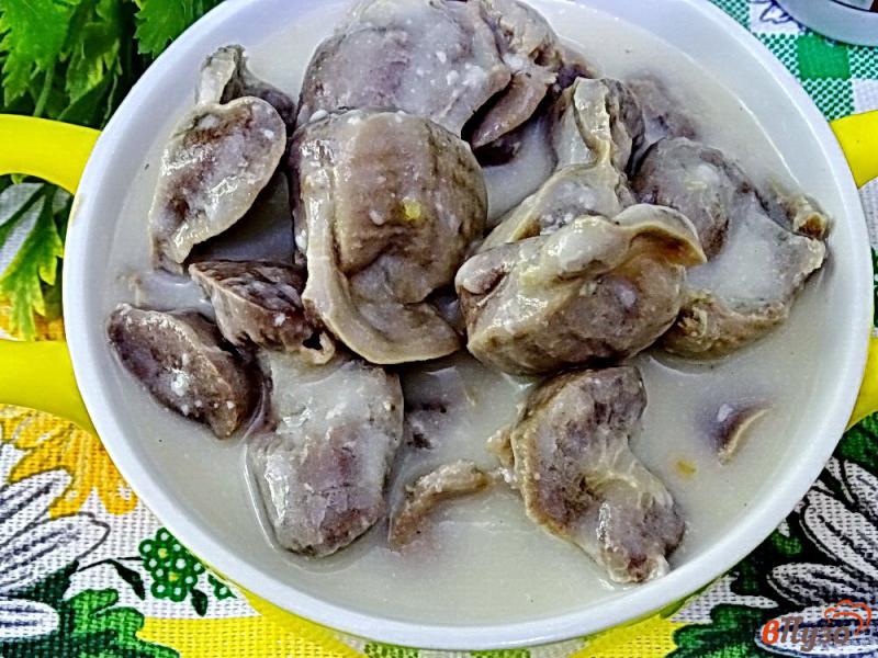 Фото приготовление рецепта: Куриные желудки со сметаной шаг №7