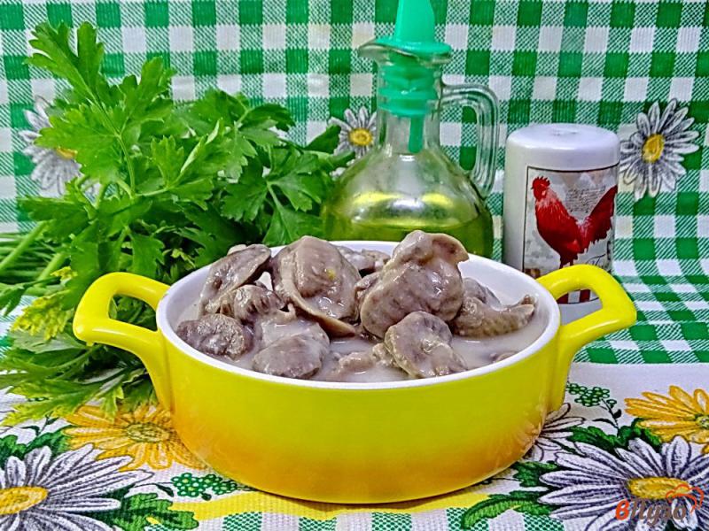 Фото приготовление рецепта: Куриные желудки со сметаной шаг №8