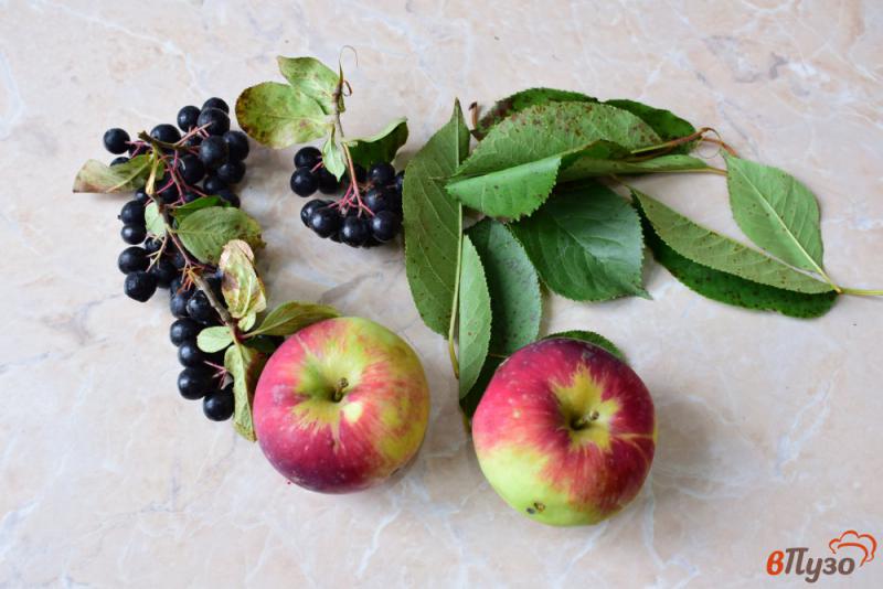 Фото приготовление рецепта: Яблочный компот с черноплодкой и вишневыми листьями шаг №1