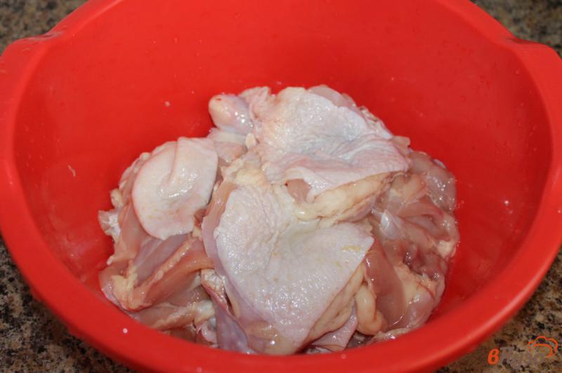 Фото приготовление рецепта: Шашлык из куриных крыльев и бедер шаг №1