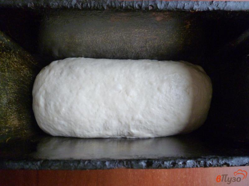 Фото приготовление рецепта: Хлеб горчично-медовый шаг №7