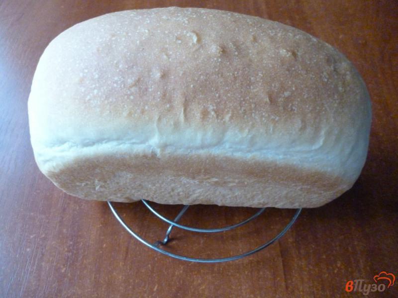 Фото приготовление рецепта: Хлеб горчично-медовый шаг №8