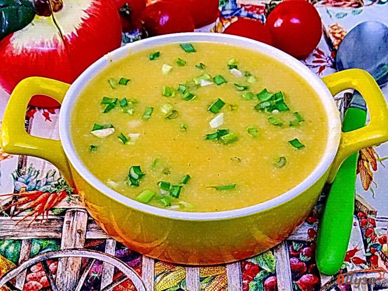 Фото приготовление рецепта: Суп пюре из тыквы на курином бульоне шаг №9