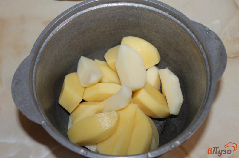 Фото приготовление рецепта: Картофельное пюре с чесноком и шпиком шаг №1