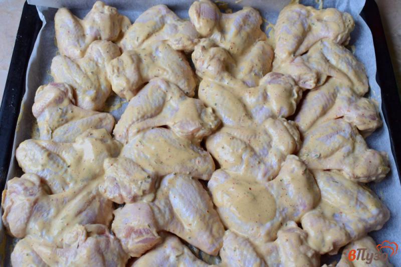 Фото приготовление рецепта: Горчичные куриные крылышки в духовке шаг №5